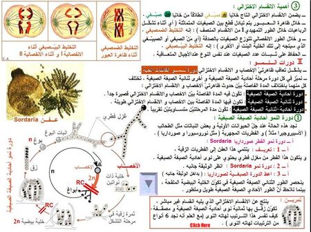 الثانية باكالوريا : مسلك علوم الحياة و الأرض : مادة الطبيعيات 26680044_p