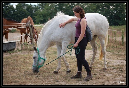 [Mes reprises] Mes aventures 2007/2008 à cheval ! - Page 2 16980214_m