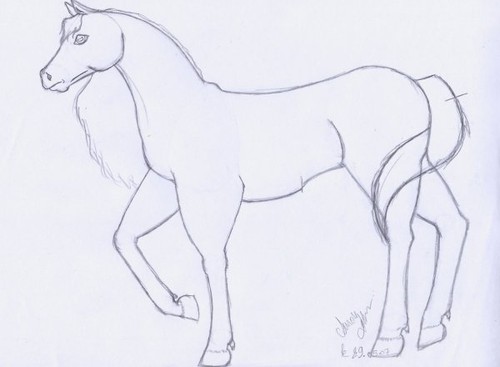 Comment dessiner un cheval en 6 étapes . 13680134_m