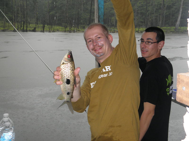 Les aventures de BooT en guyane... 62440085