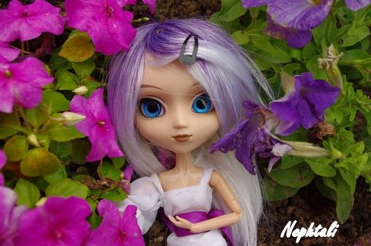 [Jun Planning] Pullip Ala 54462847