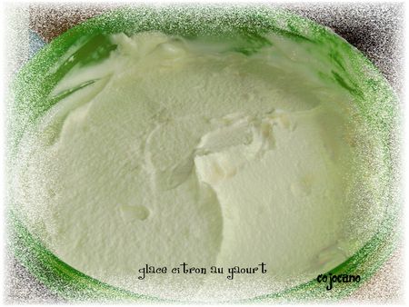 yaourt - glace citron au yaourt 27000691_p