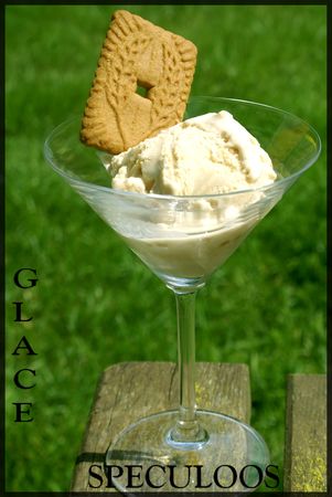 glace - glace aux spéculoos 54034910_p