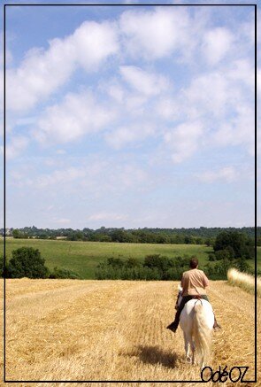 Au pays des frites ... 15673535_m