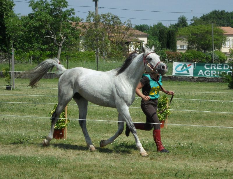 Aïnhoa Enfin, premières saillies 64290540