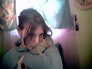 ma ratte Comateen 13422393