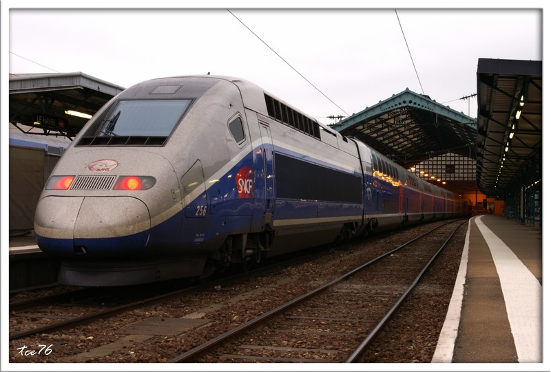 TGV Normandie 13559525