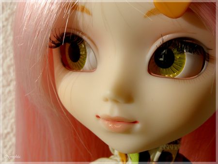 [Juillet 2010] Pullip Tiphona - Dal Clair - Byul Hermine - Page 3 46823704_p