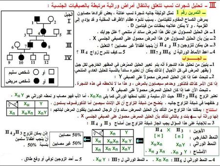 الثانية باكالوريا : مسلك علوم الحياة و الأرض : مادة الطبيعيات 26681397_p