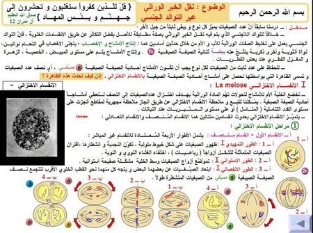 الثانية باكالوريا : مسلك علوم الحياة و الأرض : مادة الطبيعيات 26680005_p