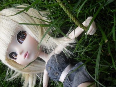 Kaline [Celsiy custo -wig & obitsu-] 42607007