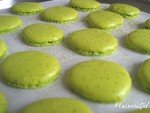 Macarons mode d'emploi 17949475_p