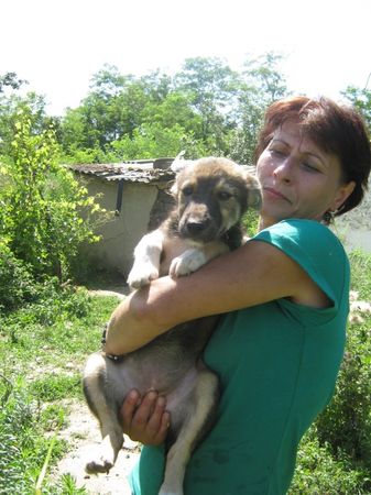 Le refuge de Lénuta (Roumanie) : Un pays, des animaux maltraités, une femme à aider, un combat permanent.... 46896611_p