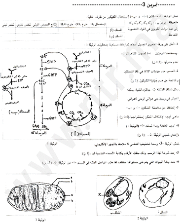 الثانية باكالوريا : مسلك علوم الحياة و الأرض : مادة الطبيعيات 18626801_p