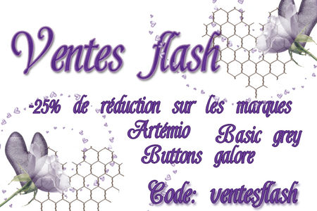 Une vente flash sur certaines marques pendant 2 jours seulem 57765958_p