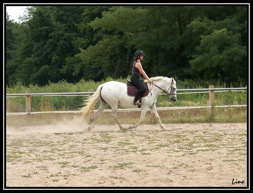 [Mes reprises] Mes aventures 2007/2008 à cheval ! - Page 2 16978968_m