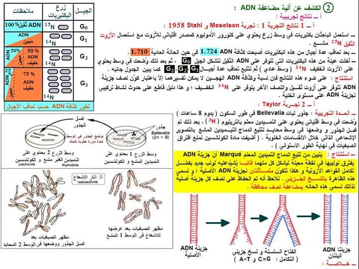 الخبر الوراثي : دروس  3année sc V&T 26679005