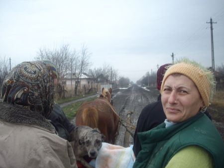 Le refuge de Lénuta (Roumanie) : Un pays, des animaux maltraités, une femme à aider, un combat permanent.... 48840146_p