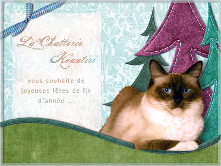 Joyeuses Fêtes à tous et voeux 2009 ! - Page 2 33964138_p