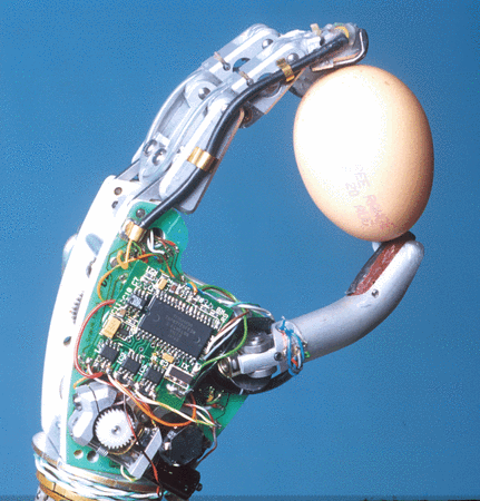 Un robot fonctionnant avec un véritable cerveau vivant de rat! 17229836_p