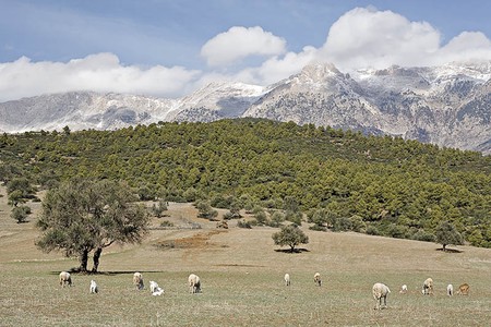 صور ساحرة من بحار الى صحراء الجزائر البيضاء 7480078_p