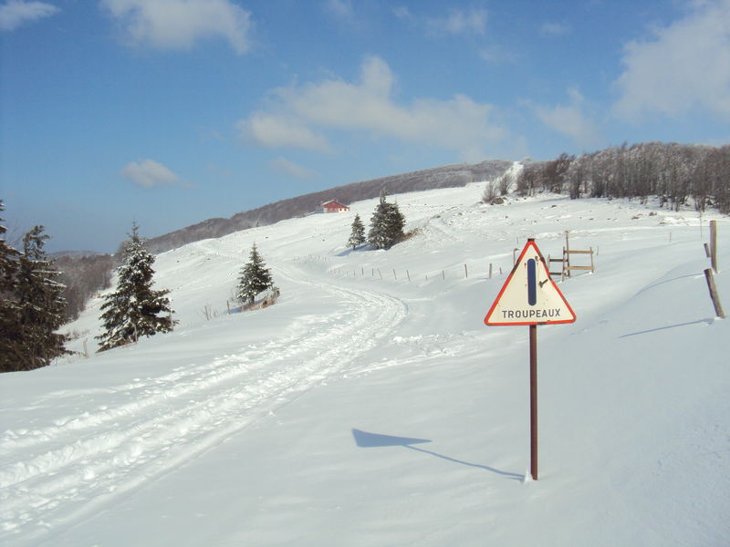 MOTOPHOBIE : La moto interdite dans les Vosges 62341071