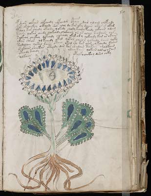 MANUSCRITO DE VOYNICH: O LIVRO MAIS MISTERIOSO DO PLANETA Voynich