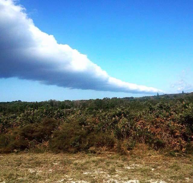 NIBIRU, ULTIMAS NOTICIAS Y TEMAS RELACIONADOS (PARTE 22) - Página 13 Roll-cloud-australia-5