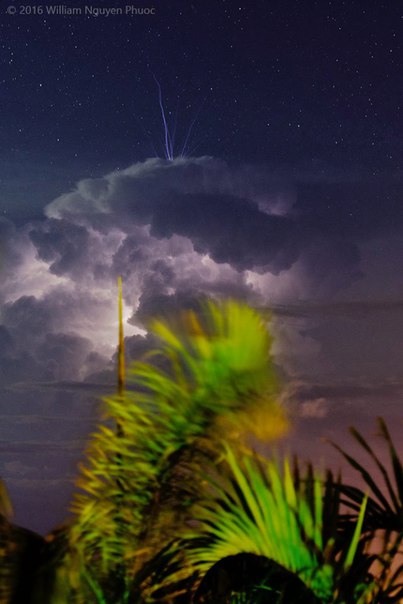 Pulsating blue jet fires up from the top of a thunderstorm over Darwin, Australia Blue-jet-thunderstorm-picture