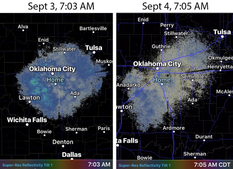 RED ALERT!! ** THERE GOES 2nd AMENDMENT ** THERE GOES SOVEREINTY ** The TPP was concluded over the weekend.   Oklahoma-earthquake-birds-3