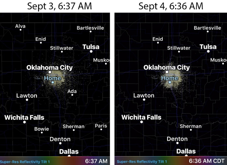 NIBIRU, ULTIMAS NOTICIAS Y TEMAS RELACIONADOS (PARTE 26) - Página 4 Oklahoma-earthquake-birds