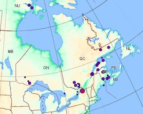 14 earthquakes hit McAdam village in New Brunswick, Canada and nobody knows what’s causing them Mcadam-earthquake-swarm-canada-new-brunswick