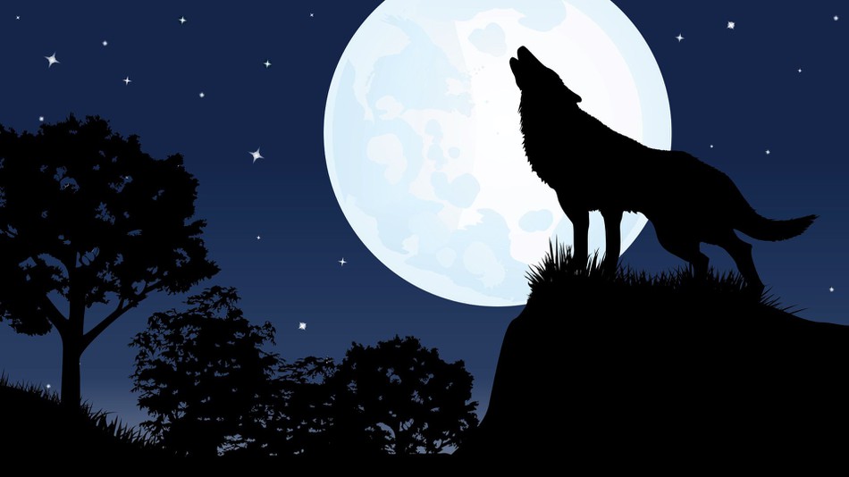 Does a full Moon really affect your sleep? Full-moon-sleep