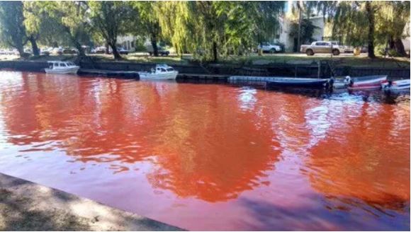 River turns mysteriously blood red overnight in Tigre near Buenos Aires, Argentina River-turns-blood-red-tigre-buenos-aires-argentina-4