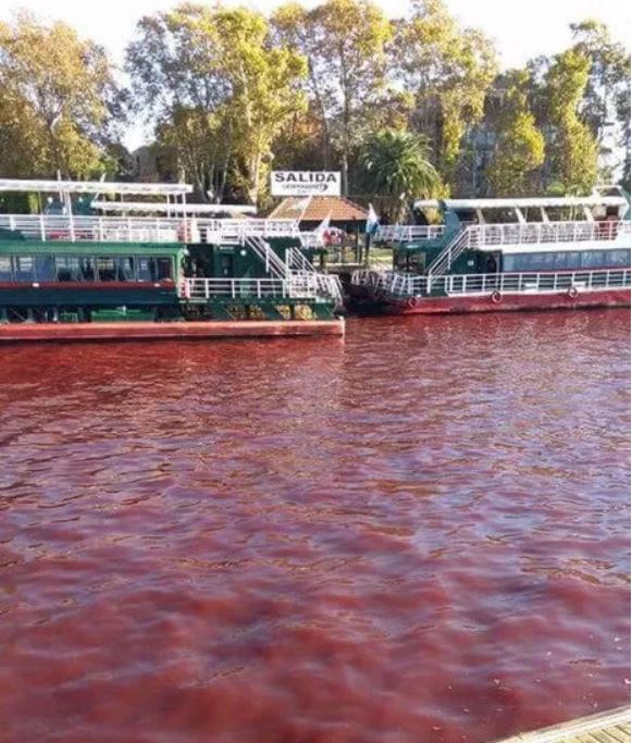 River turns mysteriously blood red overnight in Tigre near Buenos Aires, Argentina River-turns-blood-red-tigre-buenos-aires-argentina-5