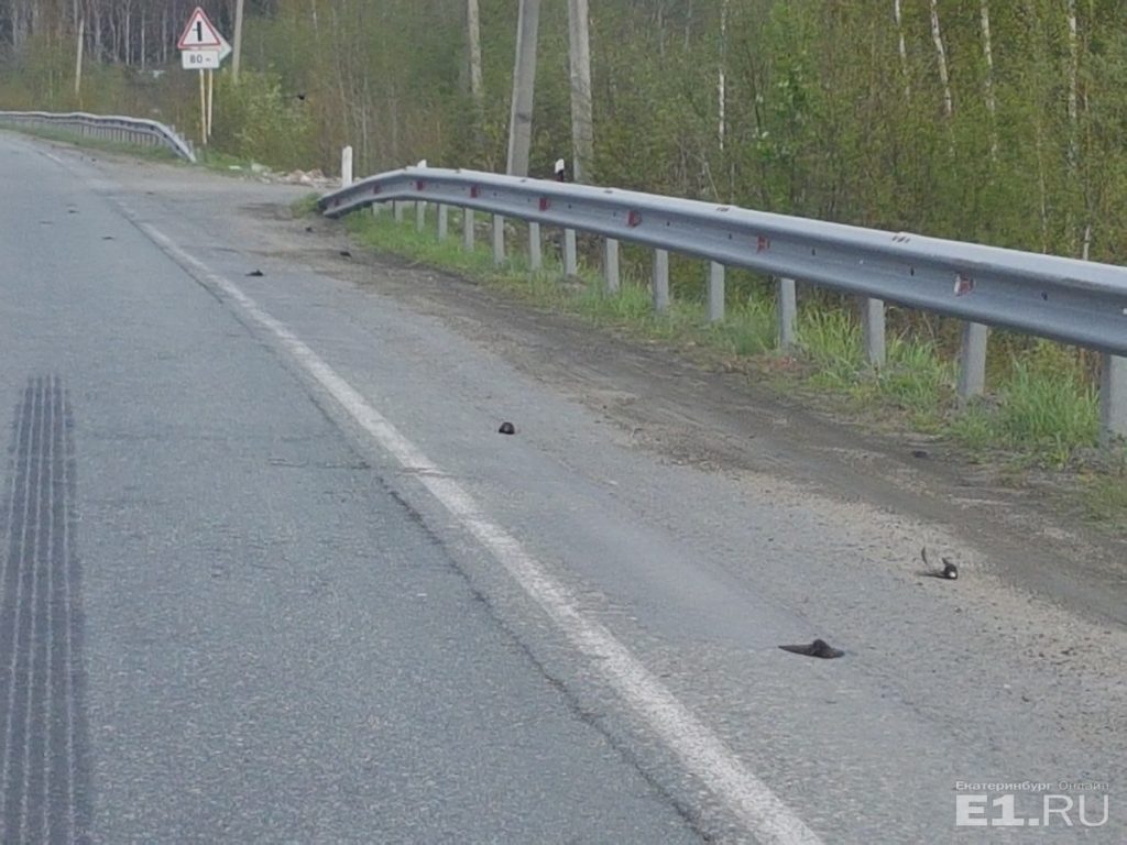Hundreds of birds fall from the sky in Russia Dead-birds-fall-from-sky-russia-2-1024x768