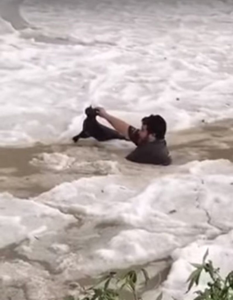 Weather chaos: Man risks his life to rescue a drowning cat after extreme hailstorms inundate parts of Saudi Arabia in frozen waters Man-saves-cat-from-drwning-in-frozen-water-saudi-arabia-795x1024
