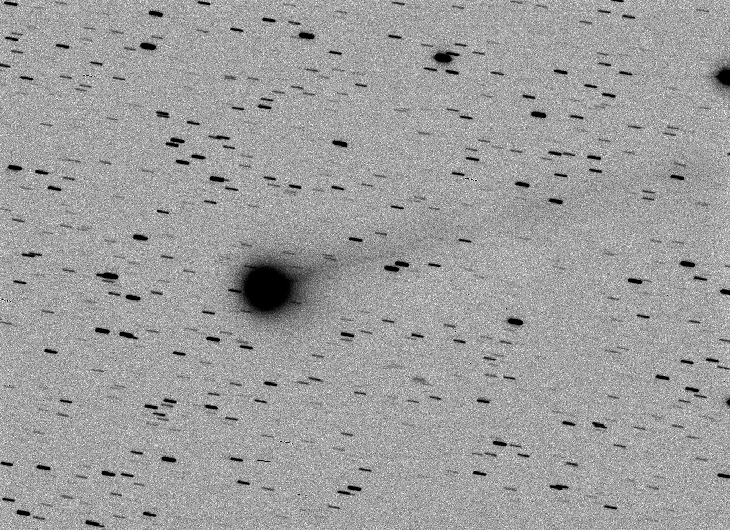 3 amateur astronomers discover bright new comet that has quadrupled in brightness over the past few days New-comet-discovered-by-amateur-astronomers-1