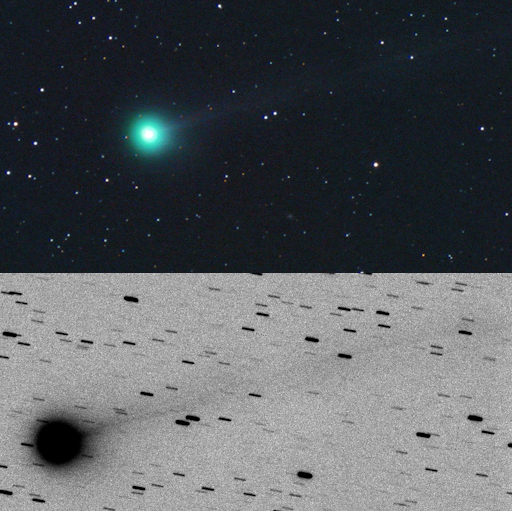 3 amateur astronomers discover bright new comet that has quadrupled in brightness over the past few days New-comet-discovered-by-amateur-astronomers-2