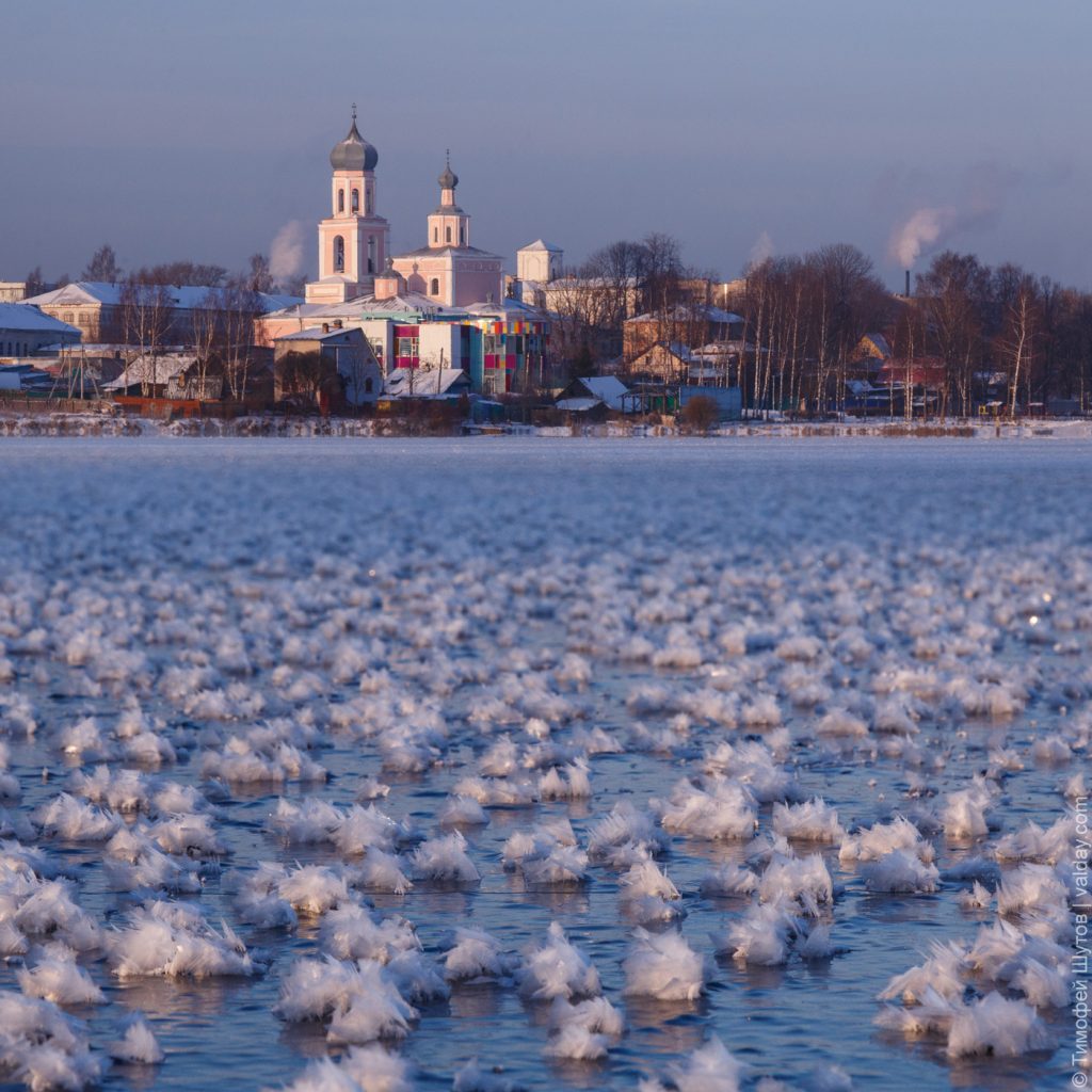 Flowering lake phenomenon: ﻿Thousands of rare ‘ice flowers’  Ice-flowers-russia-1024x1024