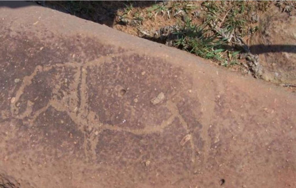 Ancient rock carvings found in the world’s largest impact crater in South Africa Ancient-rock-carving-in-world-largest-impact-crater-south-africa-1024x651