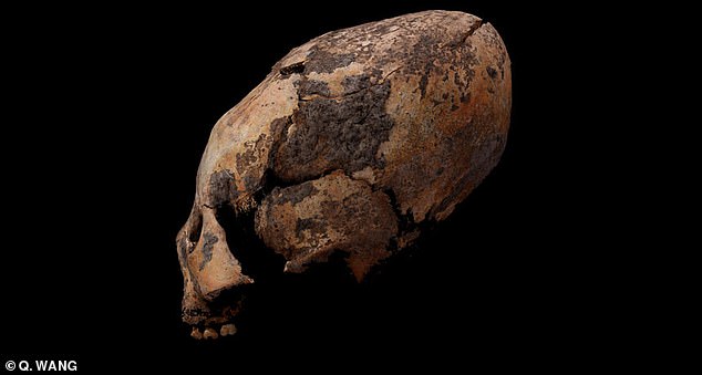 Oldest alien-shaped skulls discovered in China Alien-shaped-skulls-china