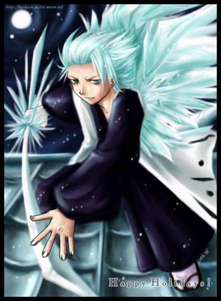 Los ocho Hitsugaya