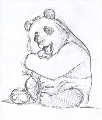 Comment dessiner un Panda... Manga ! Panda03