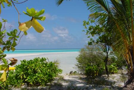 Une demande, une rponse - Page 9 Plage_Ile_Soleil_Levant