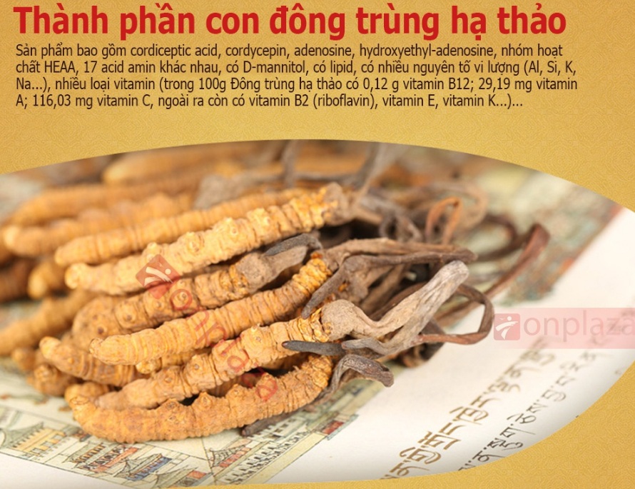 Mẹo lựa chọn quà tết độc đáo nhất năm 2016 Thanh-phan-dong-trung-ha-thao