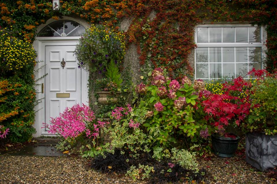 VENTANAS Y JARDINES DECORADAS - Página 4 5635af4250685