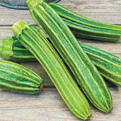 Help ID this squash, please? - Page 3 Romanesco-zucchini-2