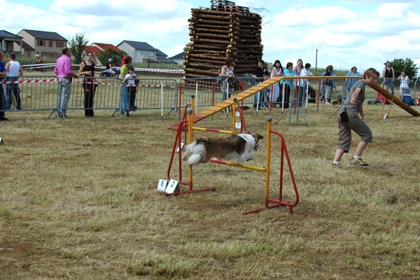 Journée d'agility 172