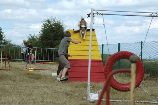 Journée d'agility 174